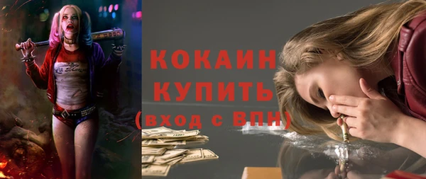 крисы Арсеньев