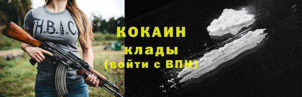крисы Арсеньев