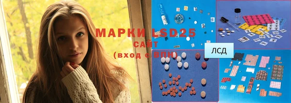 спайс Аркадак