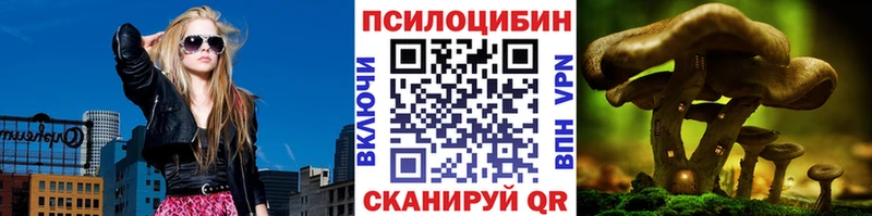 Галлюциногенные грибы Magic Shrooms Великий Устюг